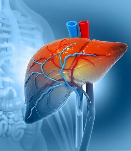 Treatment For Liver & Bile Duct