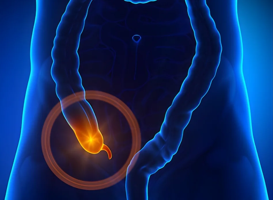 Small Intestine & Appendix Cancer Surgery